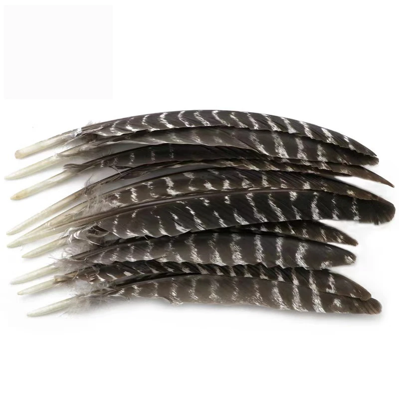 Top Manufacturer Wholesale Natural turkey feathers
