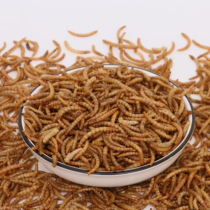 Fast Delivery Made in China Dry Mealworm Dried Mealworm Floating Fish Feed Dry Pet Food
