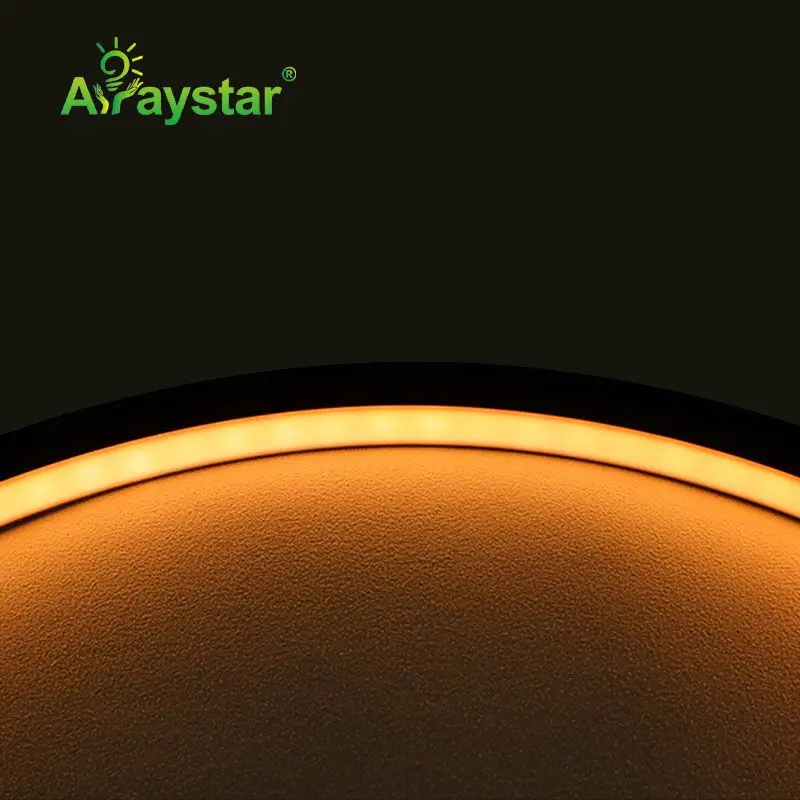 Unique black housing silicone LED neon strip 10*10mm 24V 3000K 6000K dotless waterproof IP67 LED neon flex rope light for sign