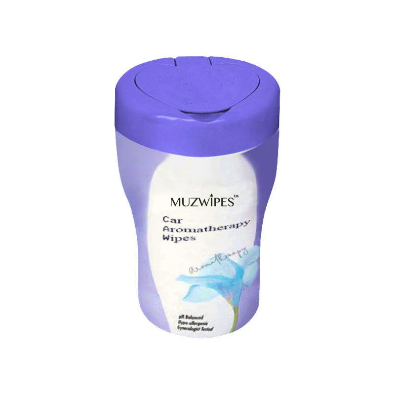 Wholesale Household 30Pcs Moist Car Interior Glass Cleaning Wet Wipes For Car Drink Holder