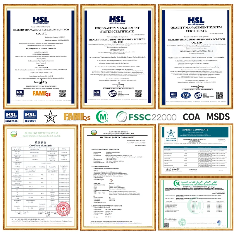 Nutrition Supplement L-Carnitine Functional Supplements 98% Acetyl-L-Carnitine Base Powder, Capsules, Liquid & Coffee