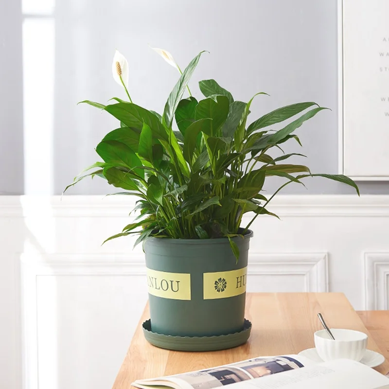 Big Large Round Green Black Hard Plastic 1 1.5 2 3 5 7 Gallon Plant Container Garden Planter Nursery Flower Pots Maceta