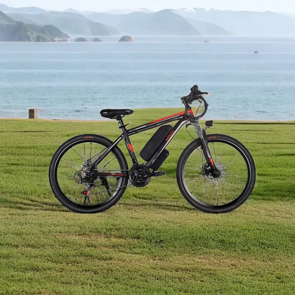 48V 10.5Ah 250W 7 Speed Electric Bicycle Powerful City Fat Tire Bike with Lithium Battery Rear Hub Motor for Adults