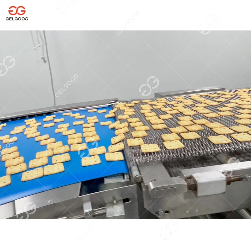 600/800/1000mm Full Automatic Finger Cookie Biscuit Making Machine Hard and Soft Production Line Price