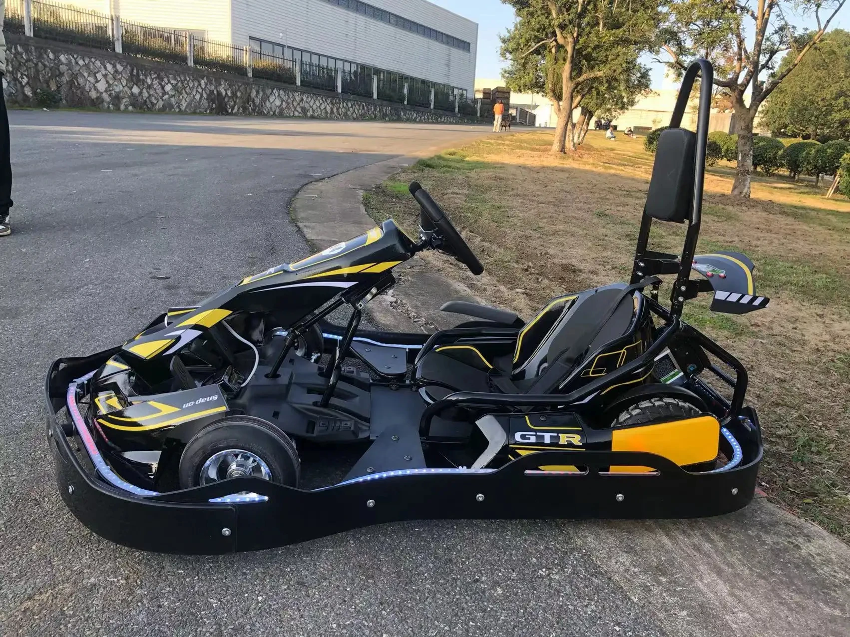 High-speed adult electric karts, professional playground equipment go karts for adults buggy go kart