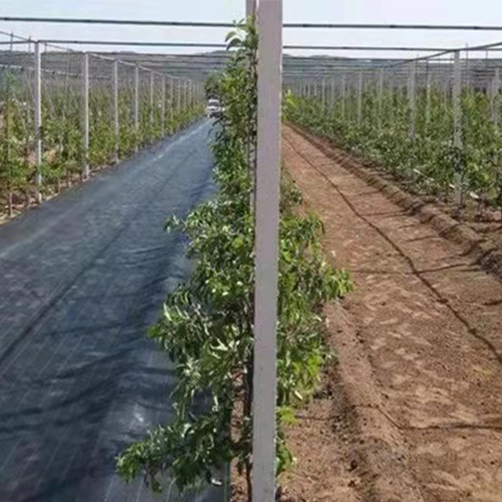 weed mat ground cover for blueberry anti grass cloth in pv anti grass cloth for solar power plant earth net fabric weed barrier