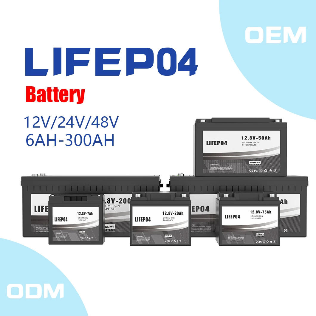 24 volt  100ah 300ah lithium ion batteries battery packed lifepo4 12v 100ah 150 ah 200ah