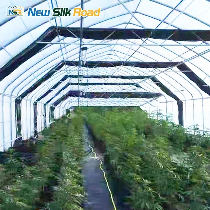 NSR Greenhouse Single Span Blackout Hemp Light Deprivation Greenhouse For Hemp