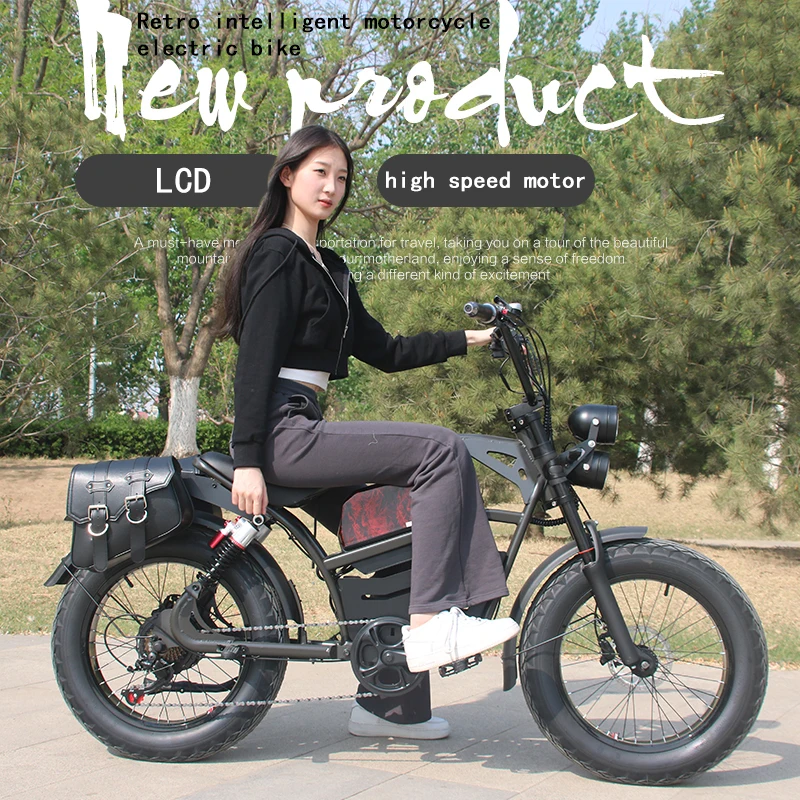 1500w 48V 1500w vintage super cool mtb snow 20 inch e bike 1500w ebike dirt bike for adult