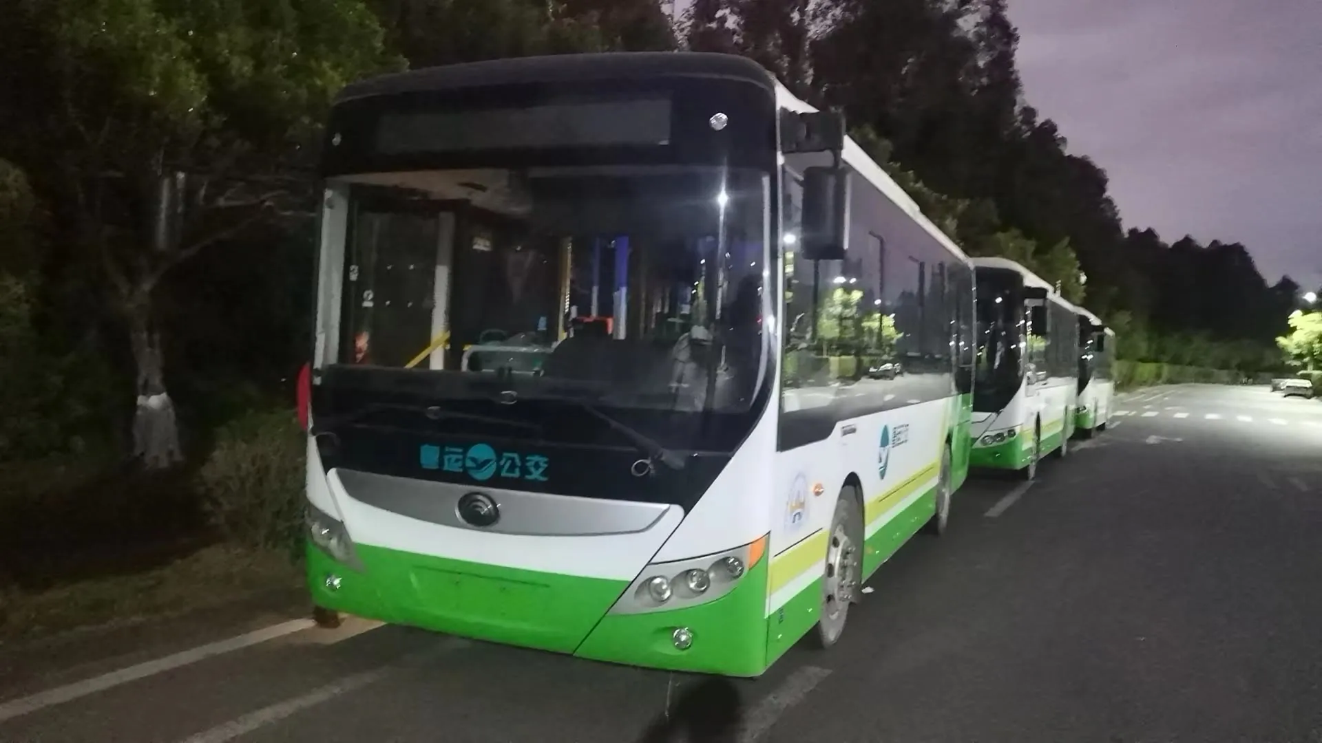Customized Electric Bus Bus Electrics Car Electric Mini Buss For Sale