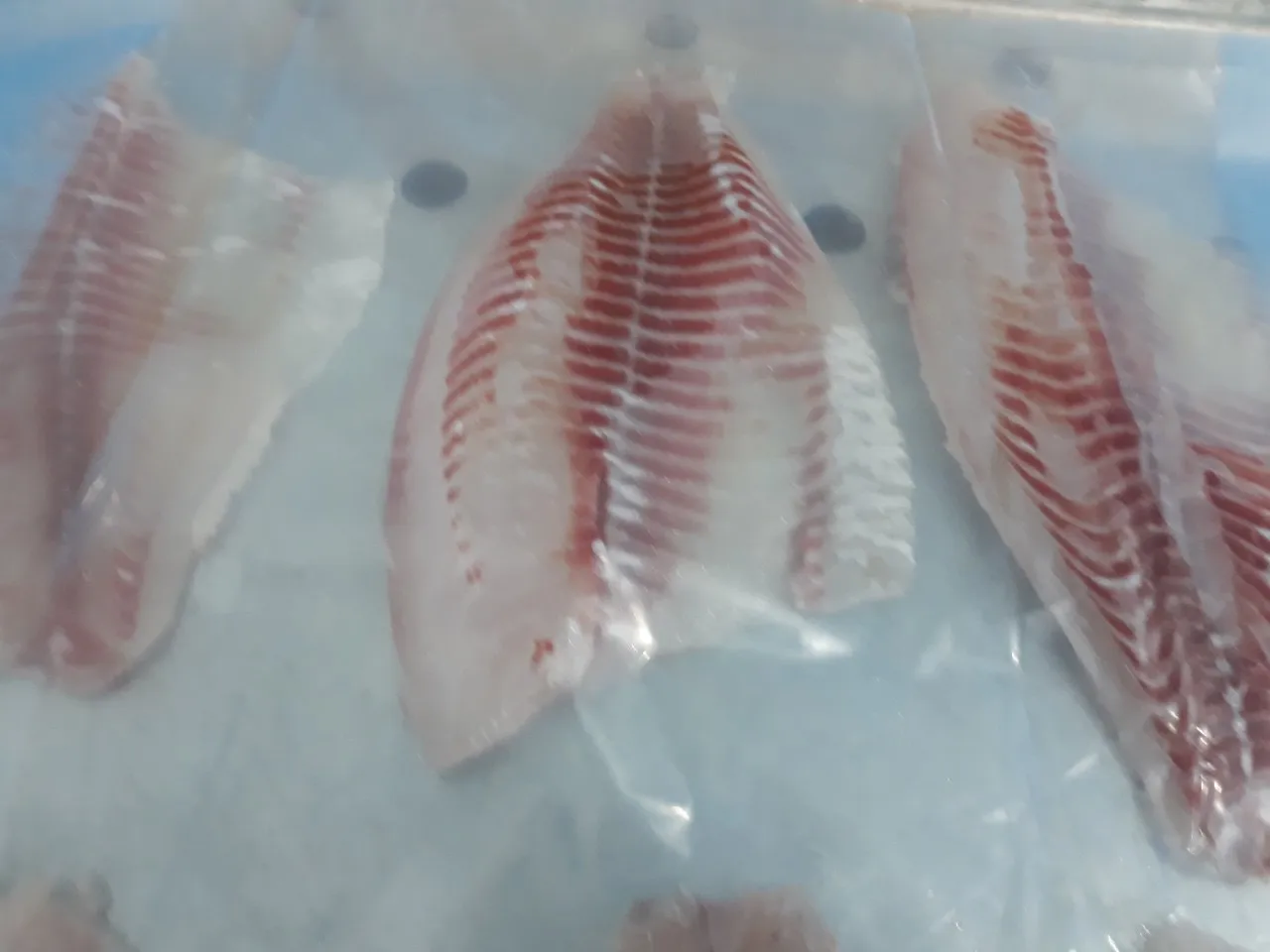 Новый сезон цельная круглая замороженная черная тилапия