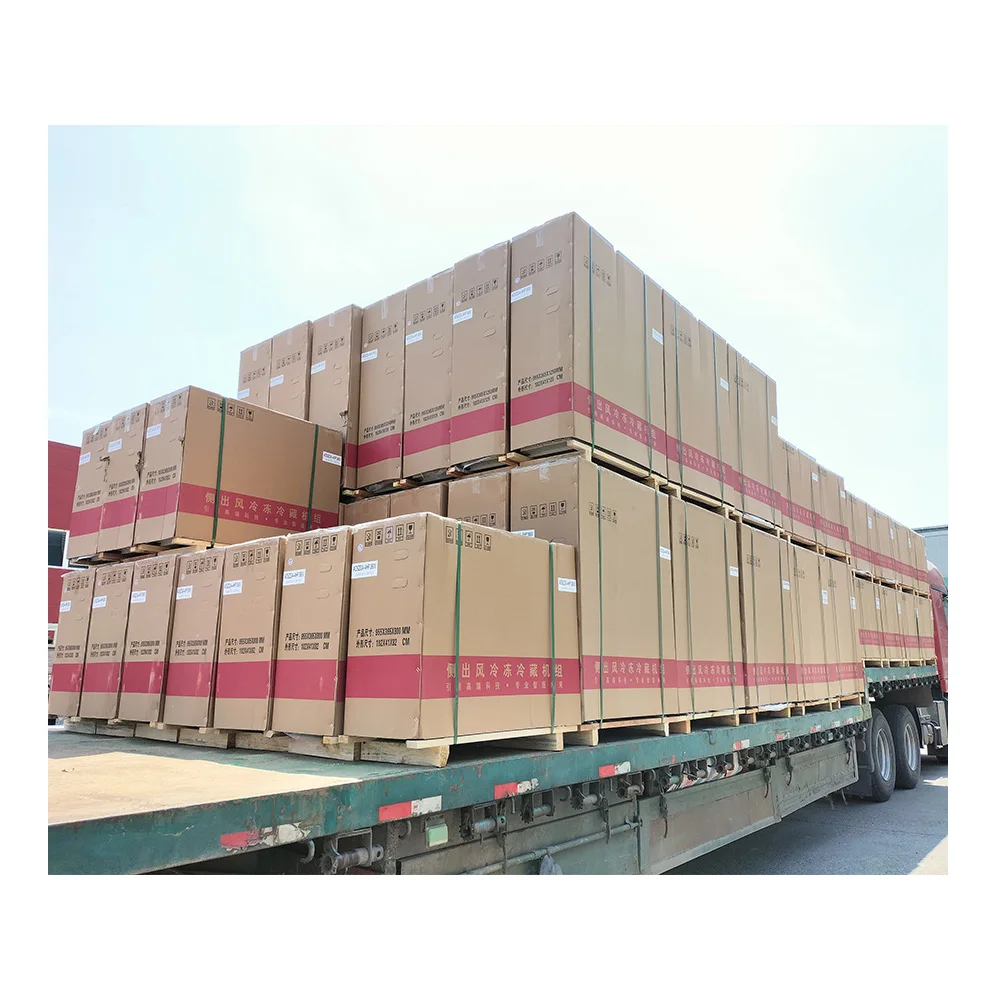 Mushroom climate control all in one machine for 20ft Containerized mushroom condensing unit