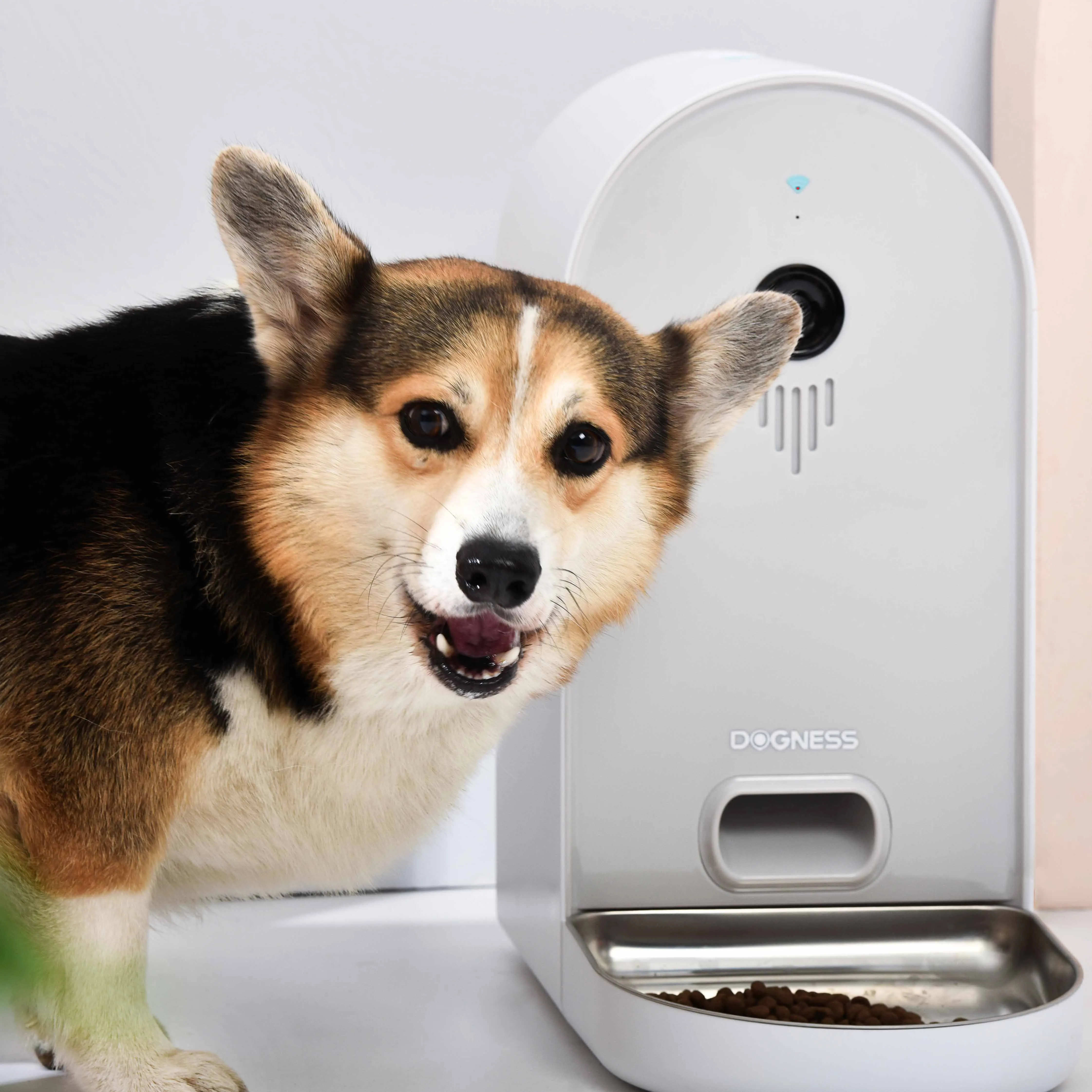 Dogness Amazon Top Sellhomeutomatic Dog Feeder Smart Wifi Automaticfood Dispenser Automatic Pet Feeder Camera BSCI Bowls Modern