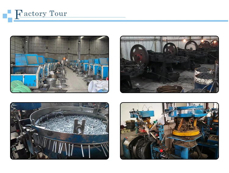 Goldensea metal concrete through wedge anchor bolt for concrete wall anchor