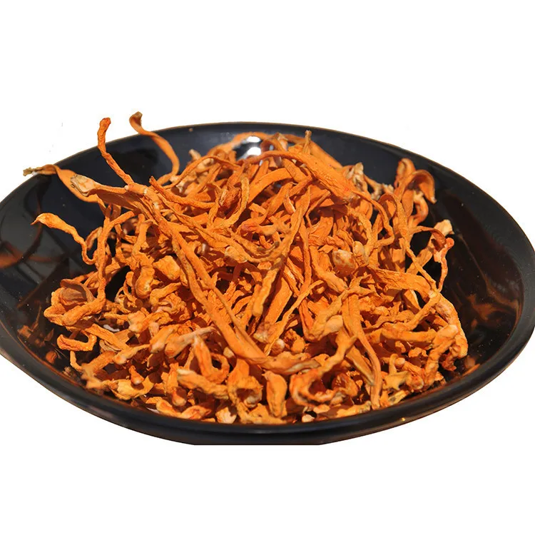 Relieve Asthma And Relieve Cough Cordyceps Militaris India Cordyceps Flower