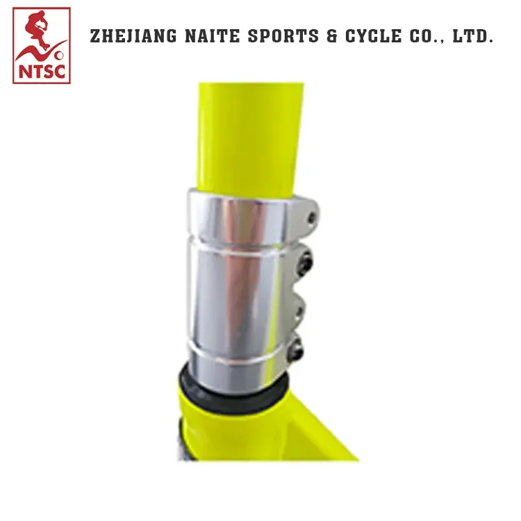 Professional High Quality Large-capacity Aluminum Alloy 2 Wheel Stunt Scooter