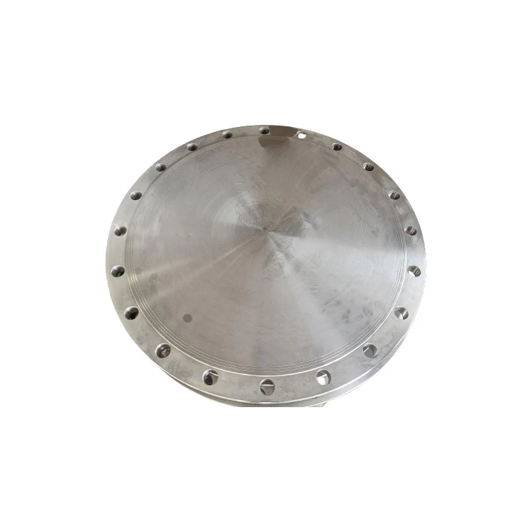 WP316L / 304L WN BL SO LJ SF Stainless Steel Flange FF RF MF FMF Forged Flange