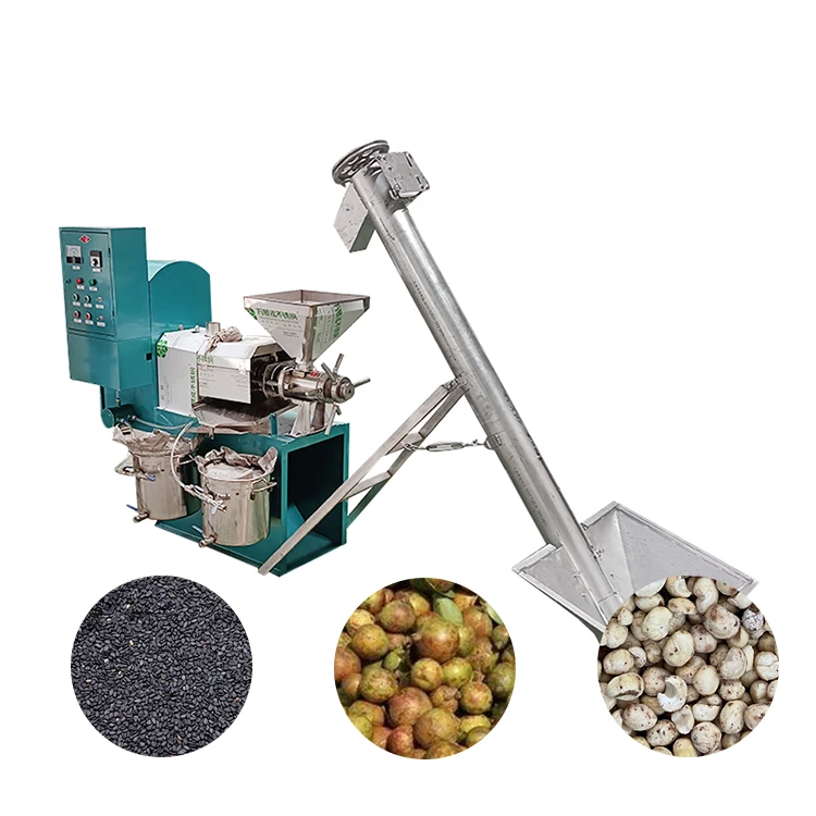 Commercial Automatic Avocado Copra Peanut Oil Cold Press Machine of Extraction Oil Olive