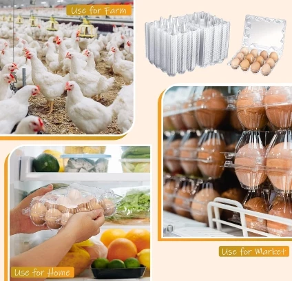 6 Holes Transparent Plastic Egg Box Cheap Transparent Plastic Egg Trays Egg Box For Supermarket