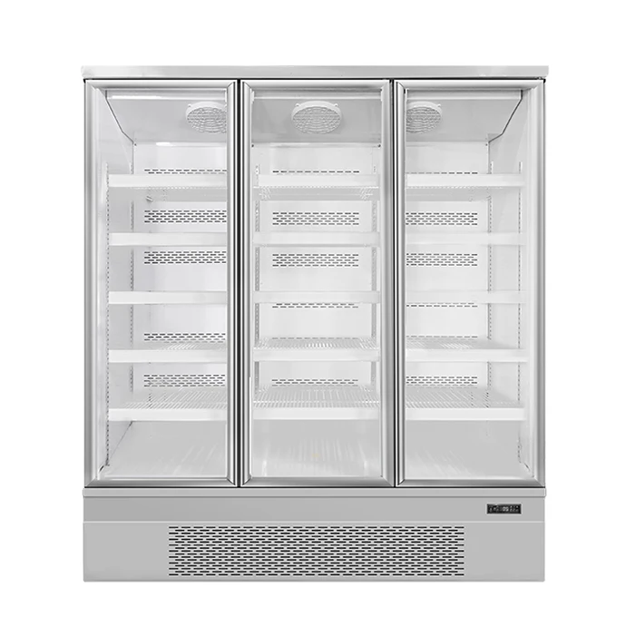Plug In System Multipurpose Freezer Commercial Glass Door Display Refrigerator for Frozen Food