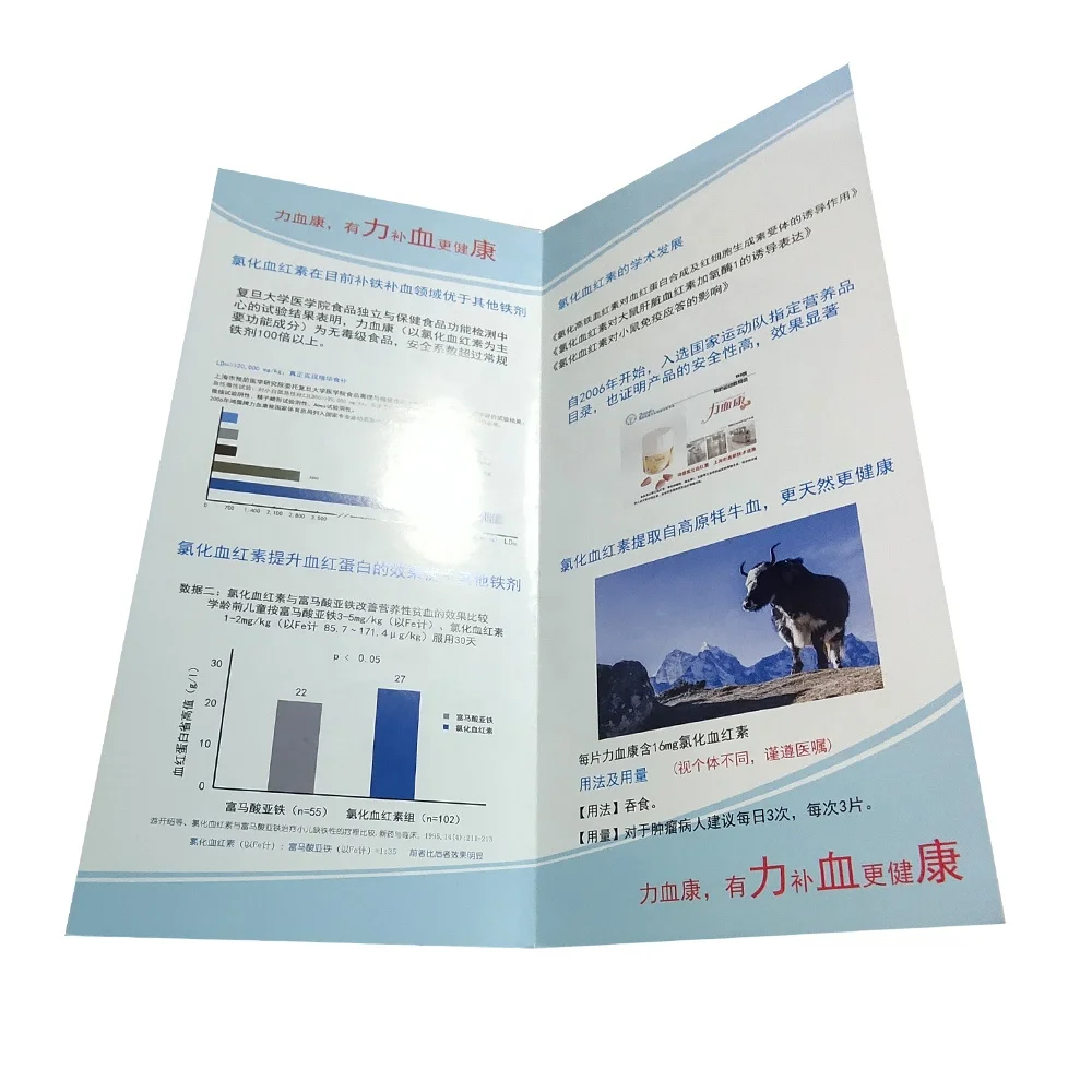 Custom Flyer Instruction Manual Printing Service