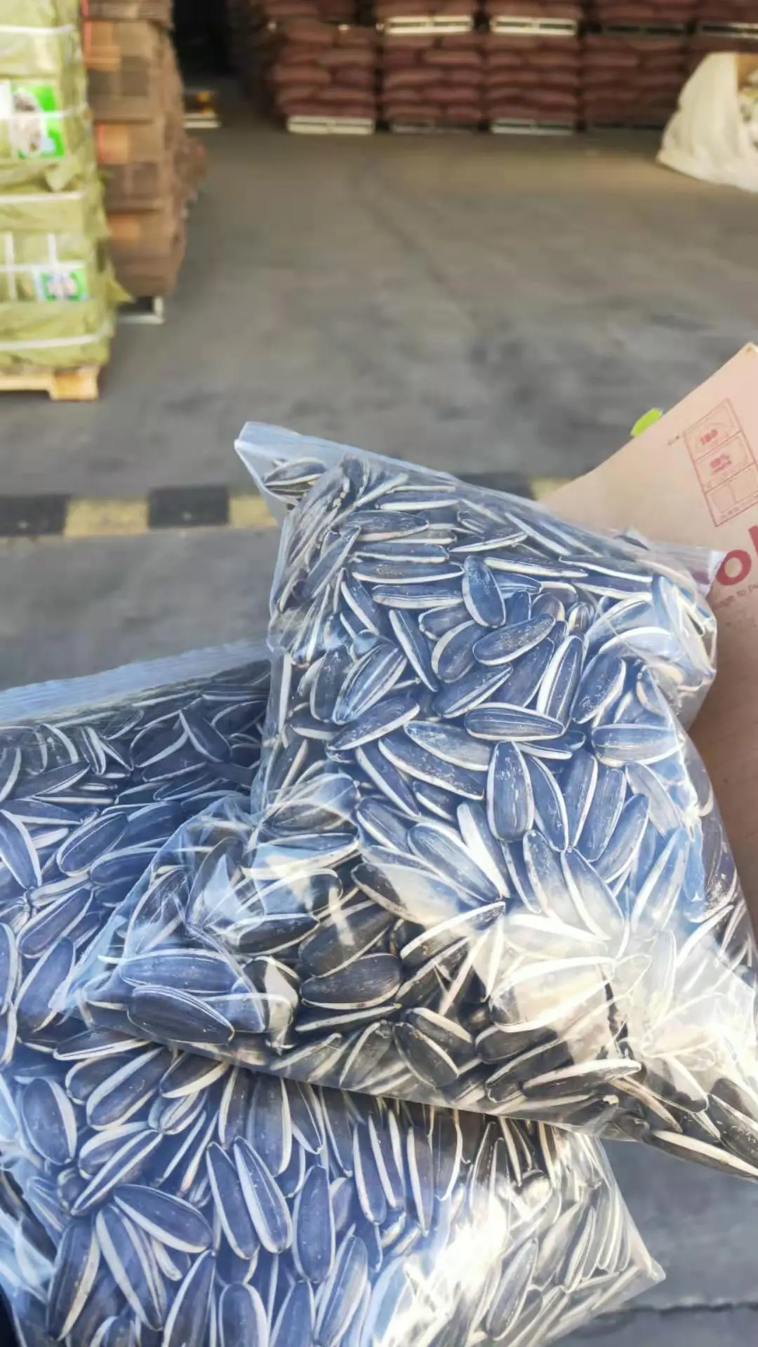 Factory Supplier 2021 Black sunflower seeds High Quality New Crop Sunflower Seeds Raw