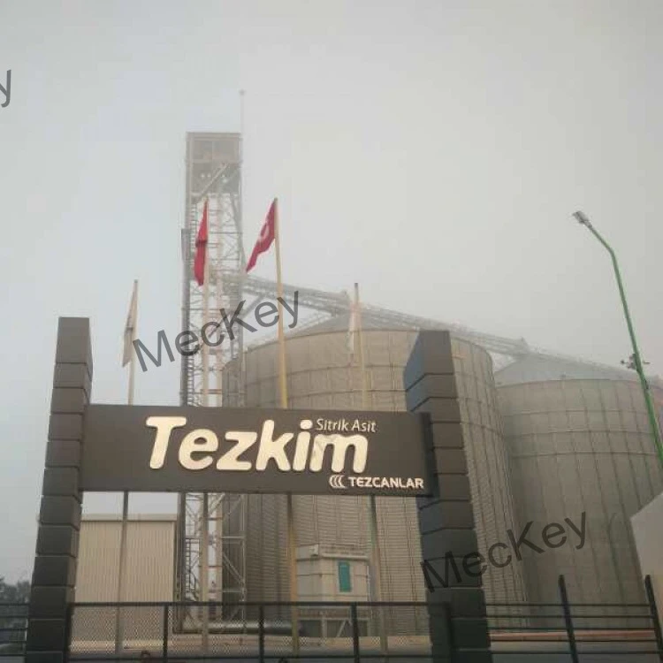 Low Investment Turnkey Citric acid monohydrate and anhydrous plant