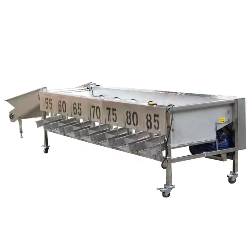 
Automatic fruits orange walnut sorting machine fruit size grading machine 