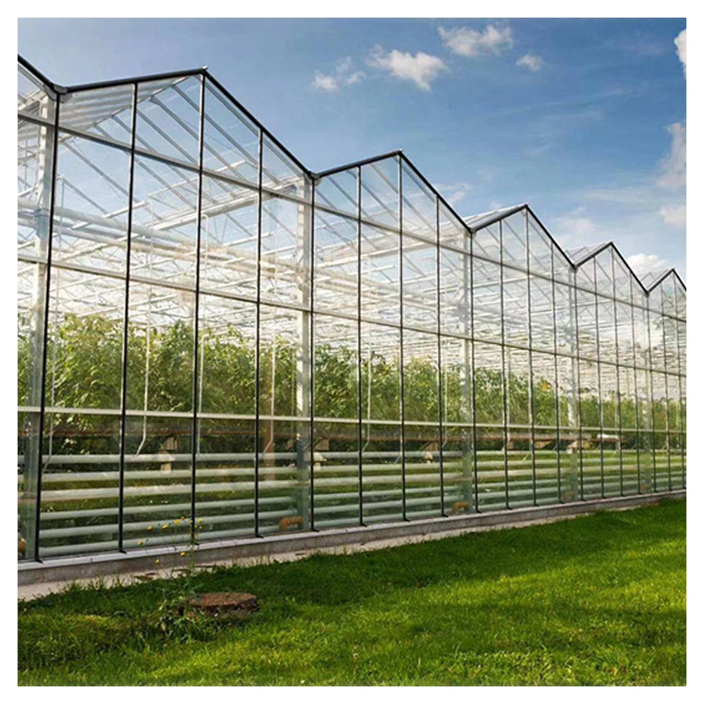 Hot sale hot-dip galvanized steel intelligent glass greenhouse for tomato growing