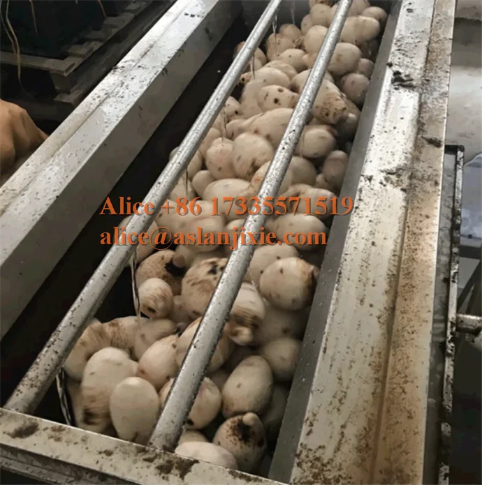 MSQX brush washer30.png