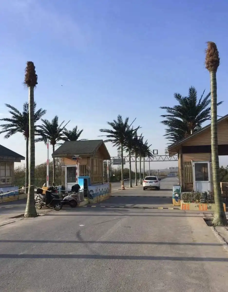 Artificial Plants Palm Trees High Simulation Outdoor Decor Coconut Tree Large Outdoor Artificial Tree outdoor artificial plants