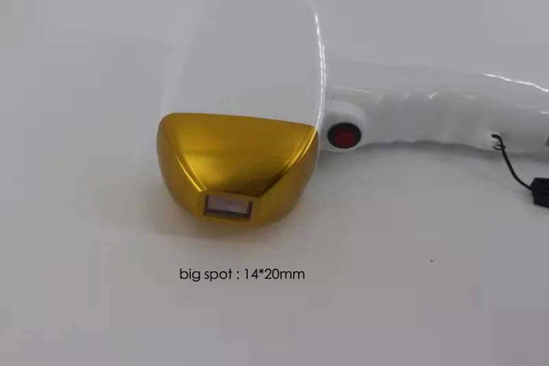 mmexport1613532585993.jpg