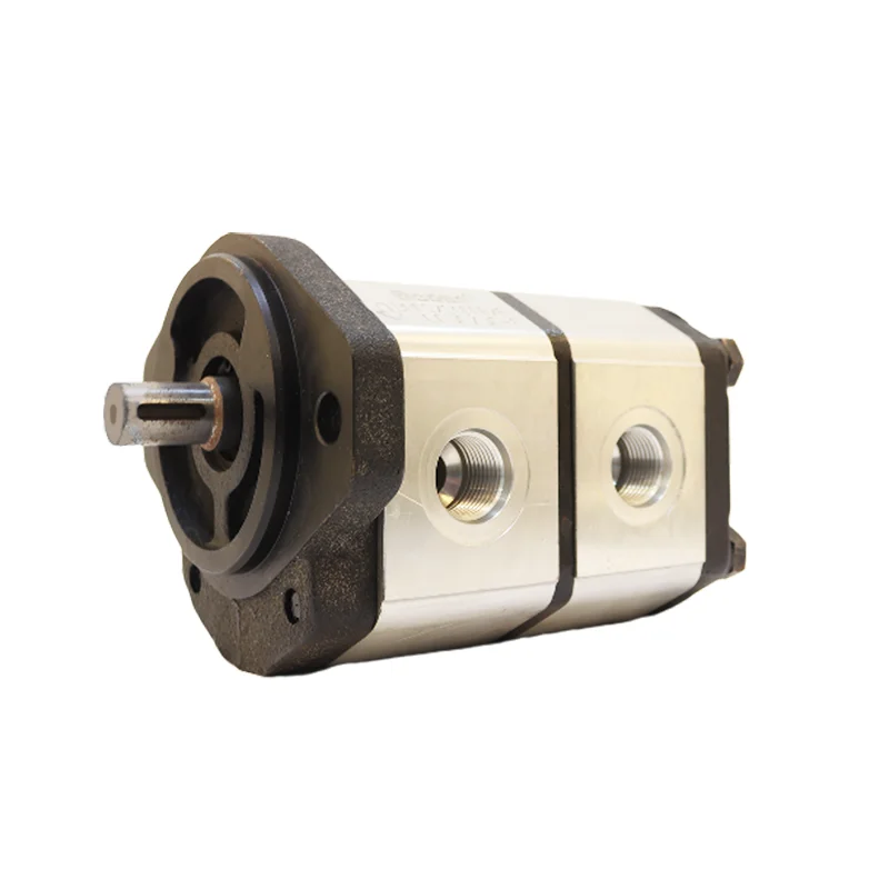 New Design High Pressure Double Hydraulic Gear Oil Pump