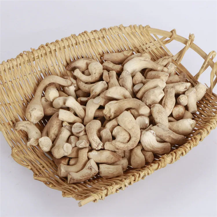 Outstanding Quality Shiitake Foot Shiitake Mushroom Stem Mushroom Root