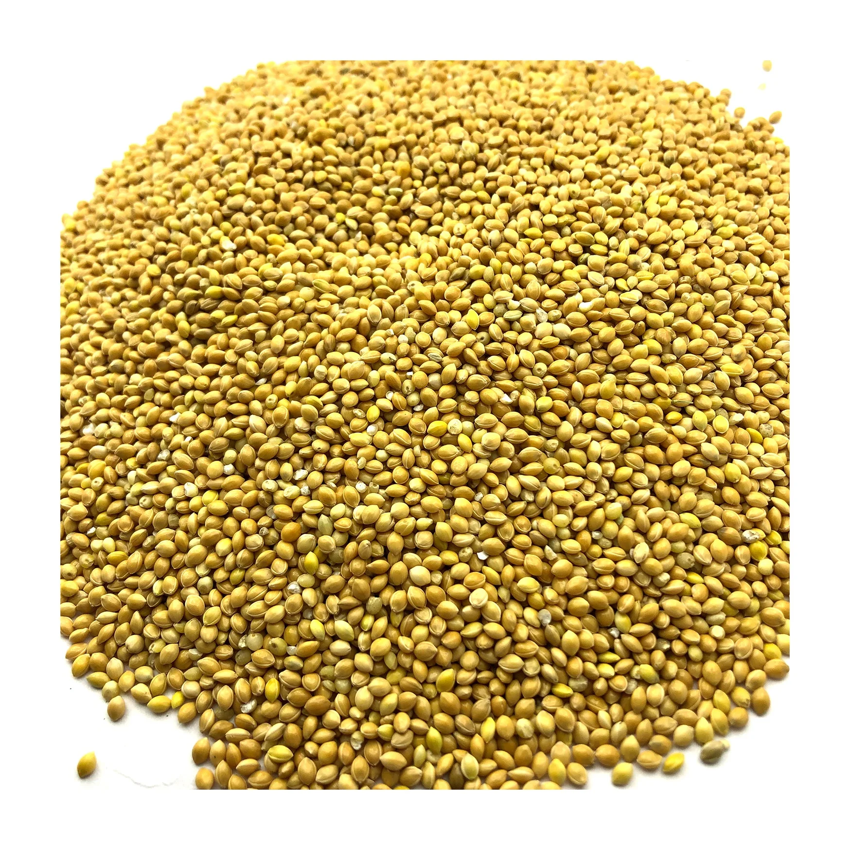 
Organic new harvest millet pre packed big bags, wholesale price  (1700005947124)