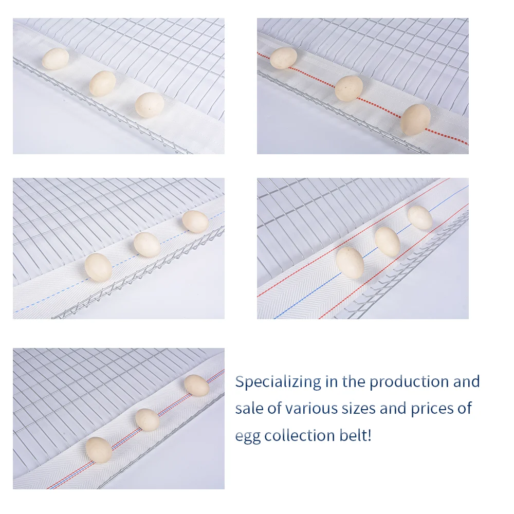 Annilte Egg Collection Belt 100mm 95mm for Chicken Farm