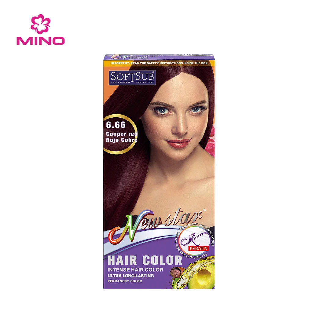 Argan Oil Extract Plant Permanent Hair Color Dye Shampoo OEM Customize Wholesale Natural for Women Covering Gray Hair 21 Colors