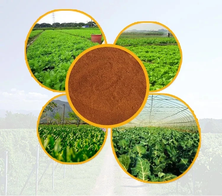 Water soluble NPK FULLSOIL series powder with 10-6-40+TE for table wine grape in 25kg bags drip irrigation soil fertilizer