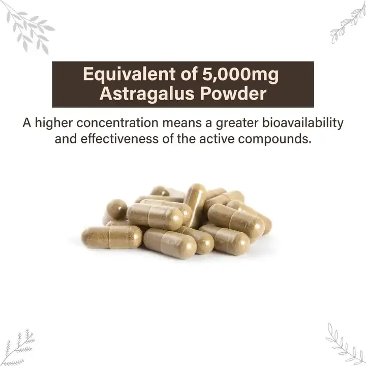 Astragalus Root Extract Powder Capsule Hot sales immune support and blood sugar balance Astragalus Root Extract Powder Capsule