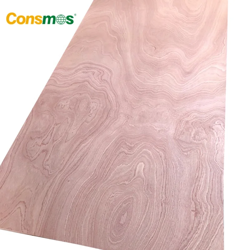 Linyi Consmos high quality okume plywood Bintangor plywood commercial plywood 2.7mm/3mm/18mm