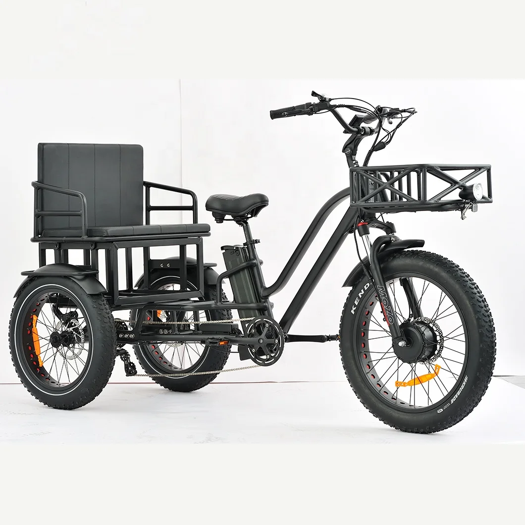 Cargo Tricycle Electric Bike Family 3wheel Electric Bike 2 Person Seat Electric Tricycle With Passenger Seat