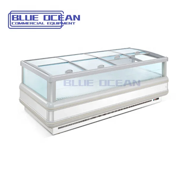 Island Freezer Chest Deep Glass Door Refrigerator Fridge Island Mortuary Industrial Freezer