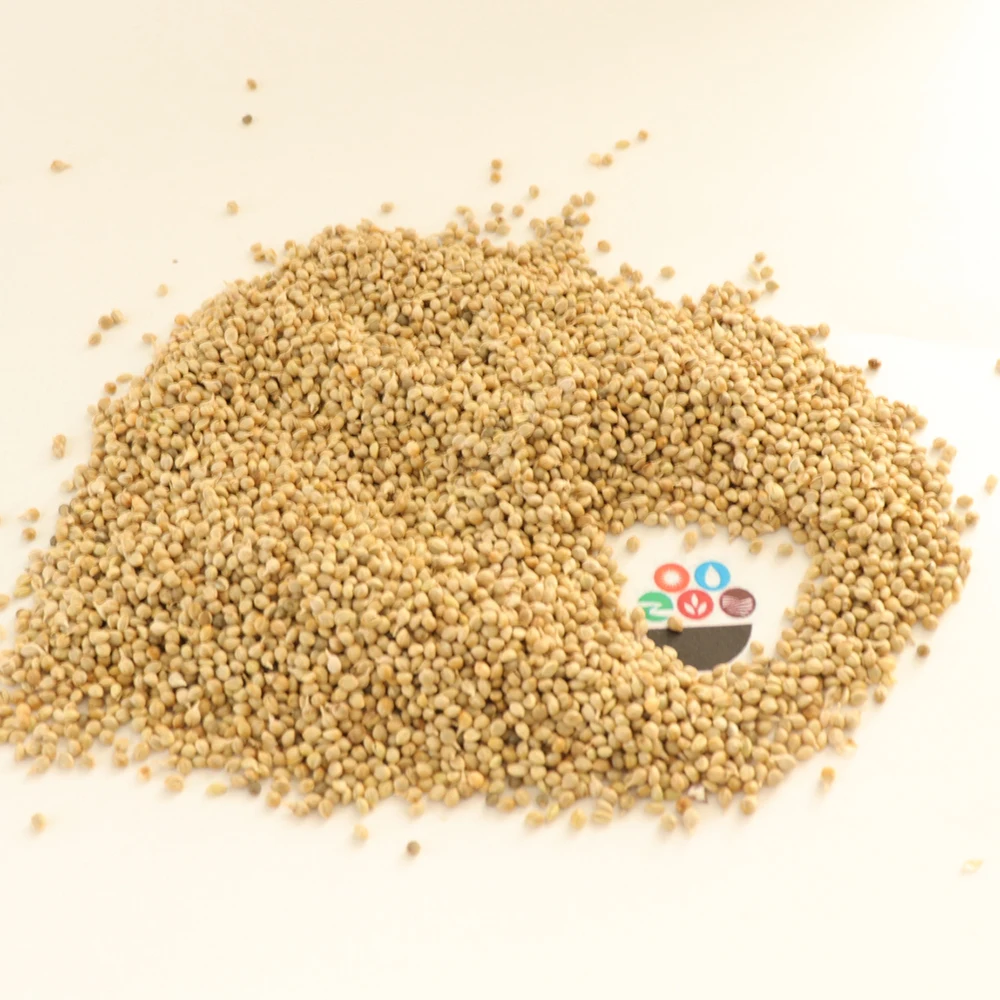 Wholesale Dried Hulled And Unhulled Green Millet Bajra Green Millet