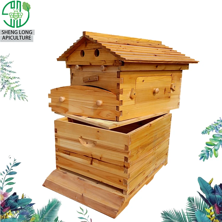 
Beekeeping bee hives complete apiculture products langstroth 2 layers beehive 