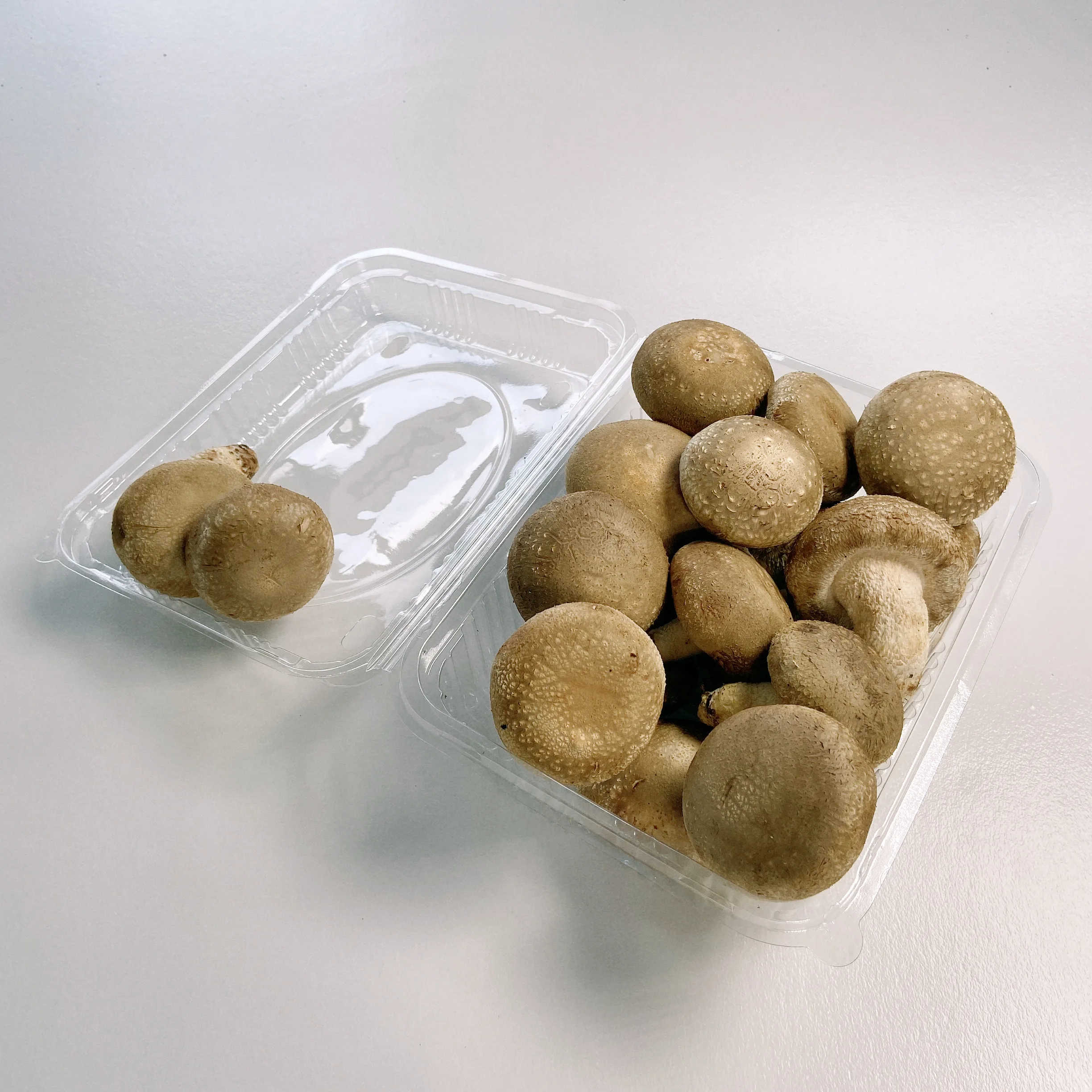 Hot Sale Factory Price Selected Good Fresh Shiitake Mushroom
