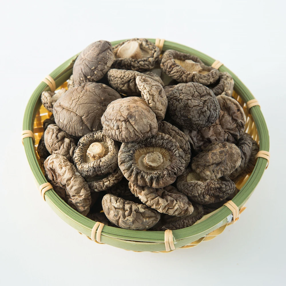 Wholesale dried shiitake dehydrated mushroom price