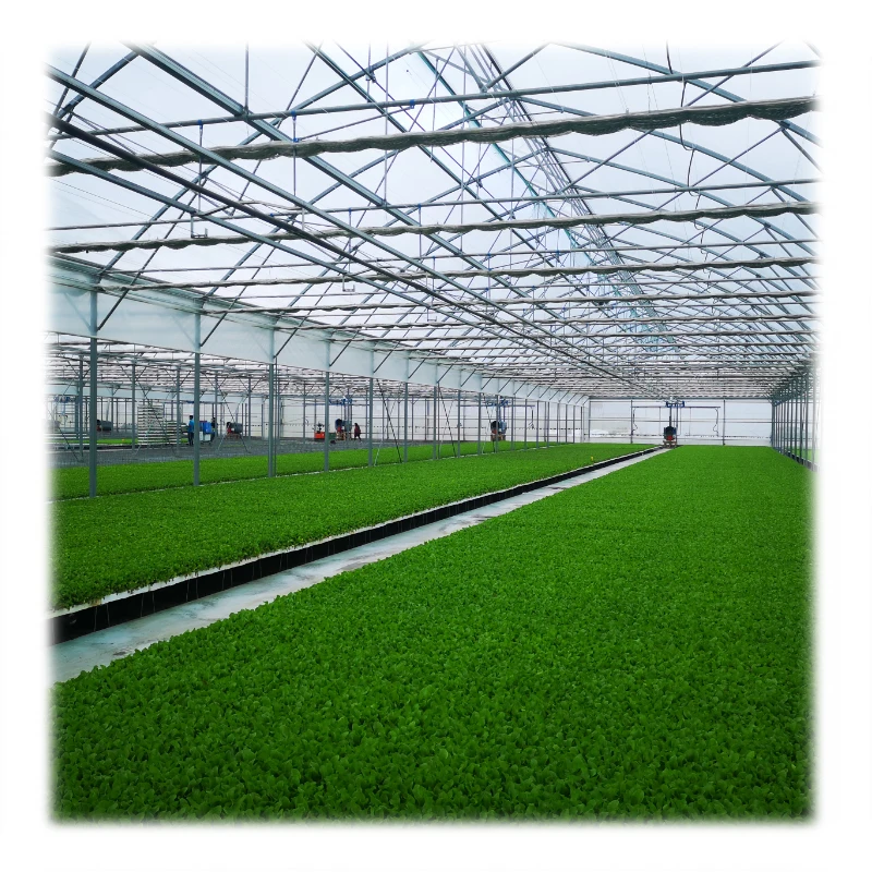 Techygro GH-03A Agricultural Greenhouse Equipped Cooling System Plastic Film Multi-Span Greenhouses Use Hot Weather For Sale
