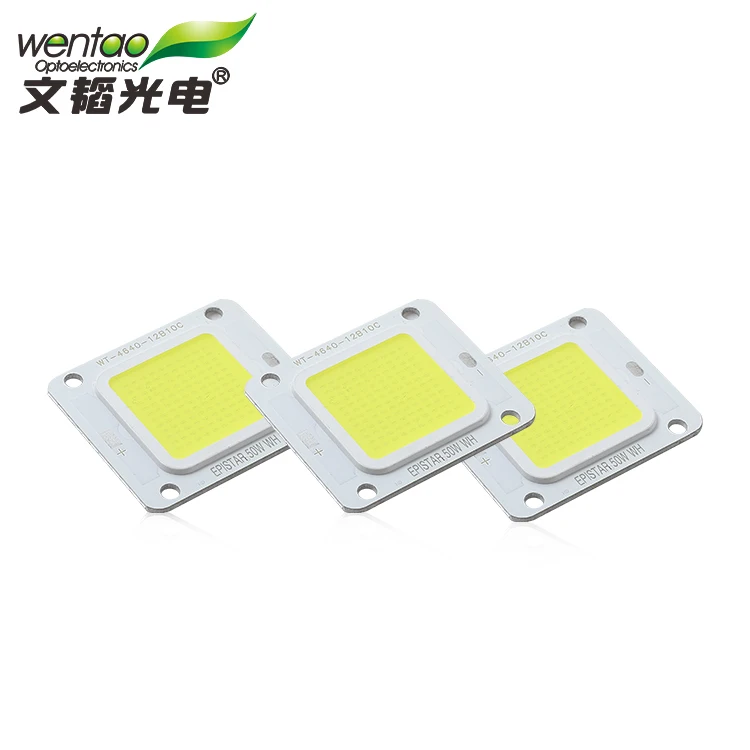 Bridgelux 1530 Chip High Product 50W 60W Smd Led Light For Outdoor landscape lighting