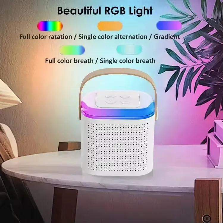 Rgb Colorful LED Lights Audio with Wireless Dual Microphone Karaoke Machine Blue Tooth Speaker Kids