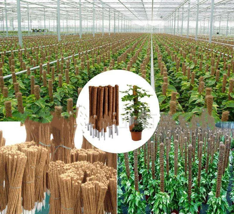 tension pole 30 40 50 cm green rose stick coconut palm stick plants climbing frame factory direct sale